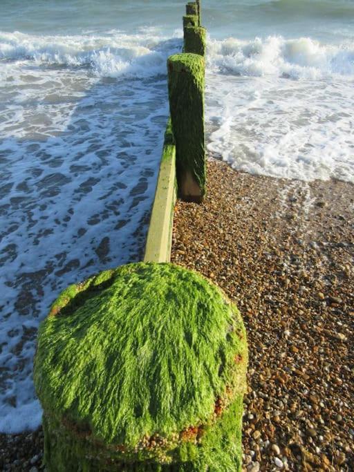 Horizon View Villa South Hayling Bagian luar foto